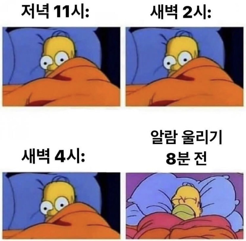 잠이 제일 잘 오는 시간 | 인스티즈