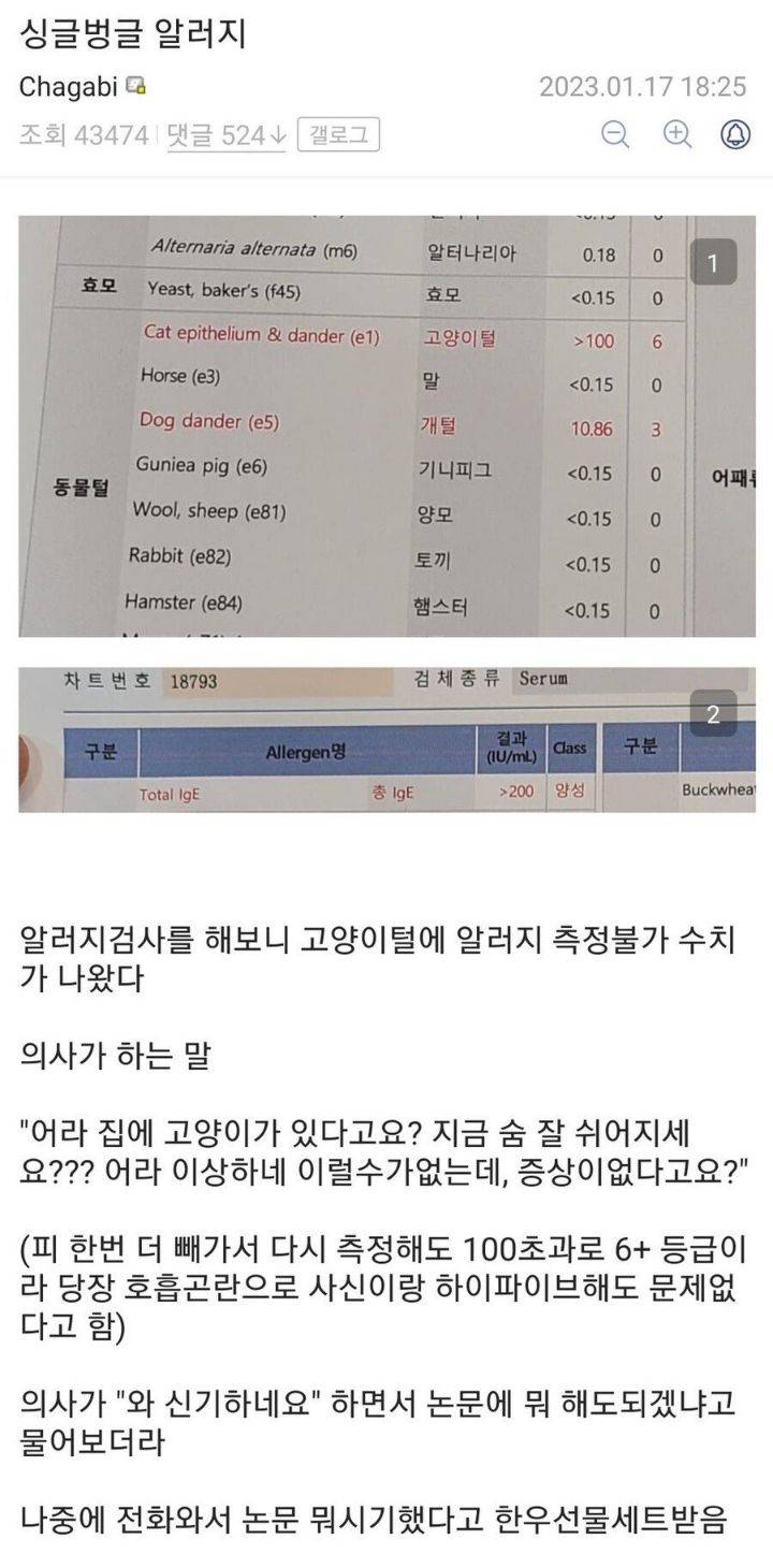 고양이 기른다고 했더니 의사한테 한우선물 받음 | 인스티즈