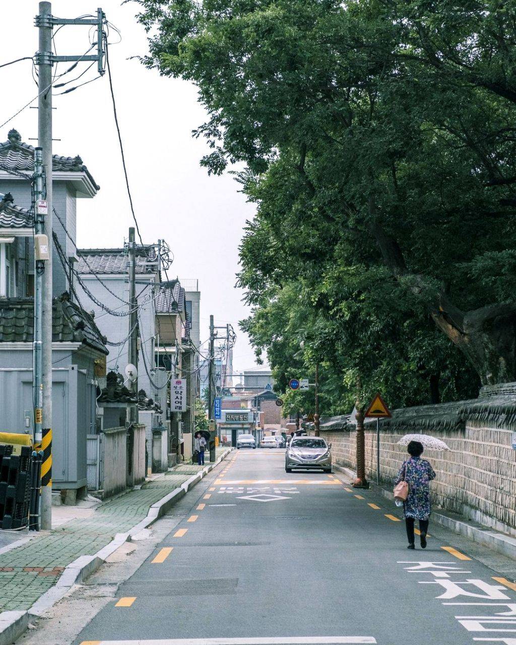한국의 여름. 강렬함과 청량함, 그리고 아련함 | 인스티즈