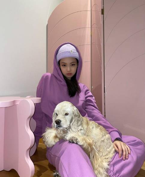 예쁘고 트렌디하고 힙한데 편한 조거팬츠 | 인스티즈