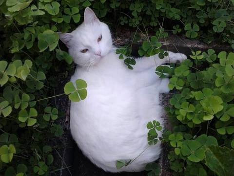 행운을 나눠드릴게요🍀 들어오세요 | 인스티즈