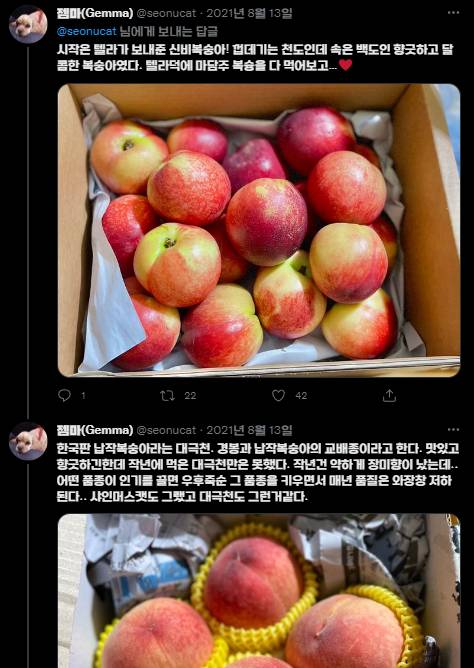 올 여름 복숭아를 놓친 분들은 이 타래를 정독하면 내년엔 성공할 수 있습니다 | 인스티즈