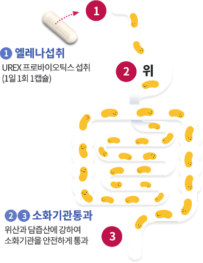 나랑 상의도 없이 항문에서 질로 이동하고 있었던 질 유산균.jpg