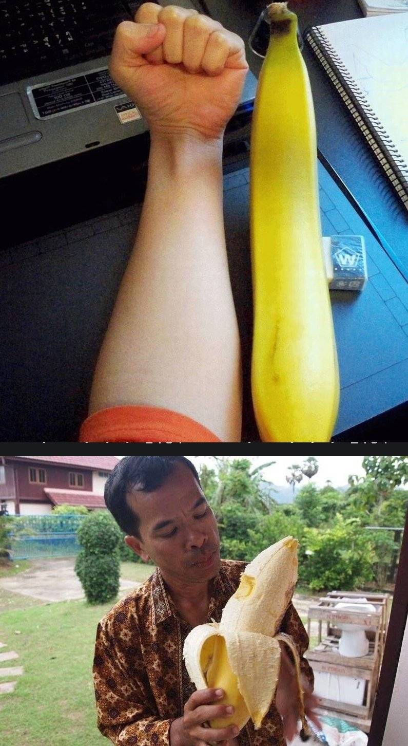 동남아 바나나 크기 | 인스티즈