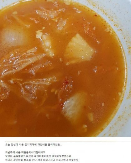 파인애플 김치찌개 | 인스티즈