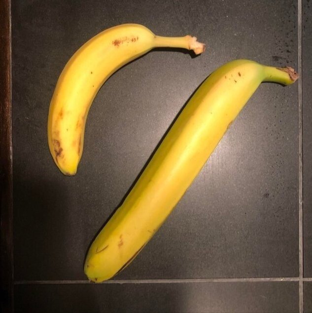 동남아 바나나 크기 | 인스티즈