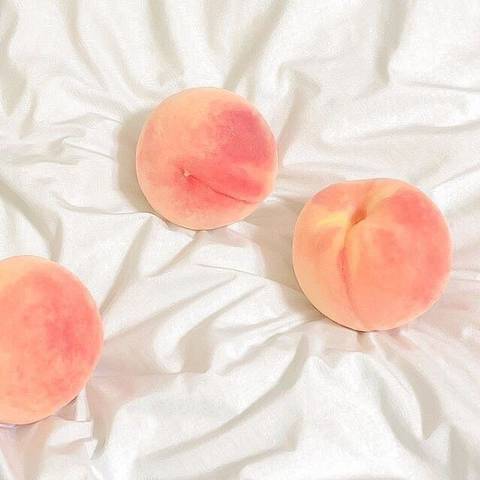 🍑복숭아 피치 빛깔🍑 | 인스티즈