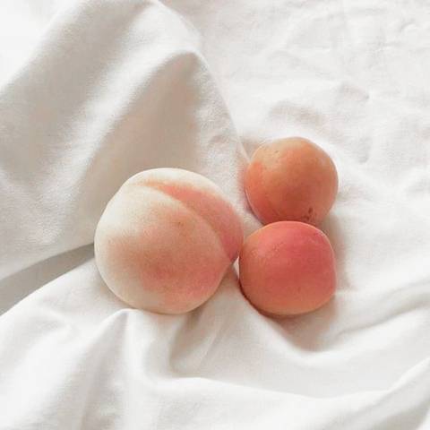 🍑복숭아 피치 빛깔🍑 | 인스티즈