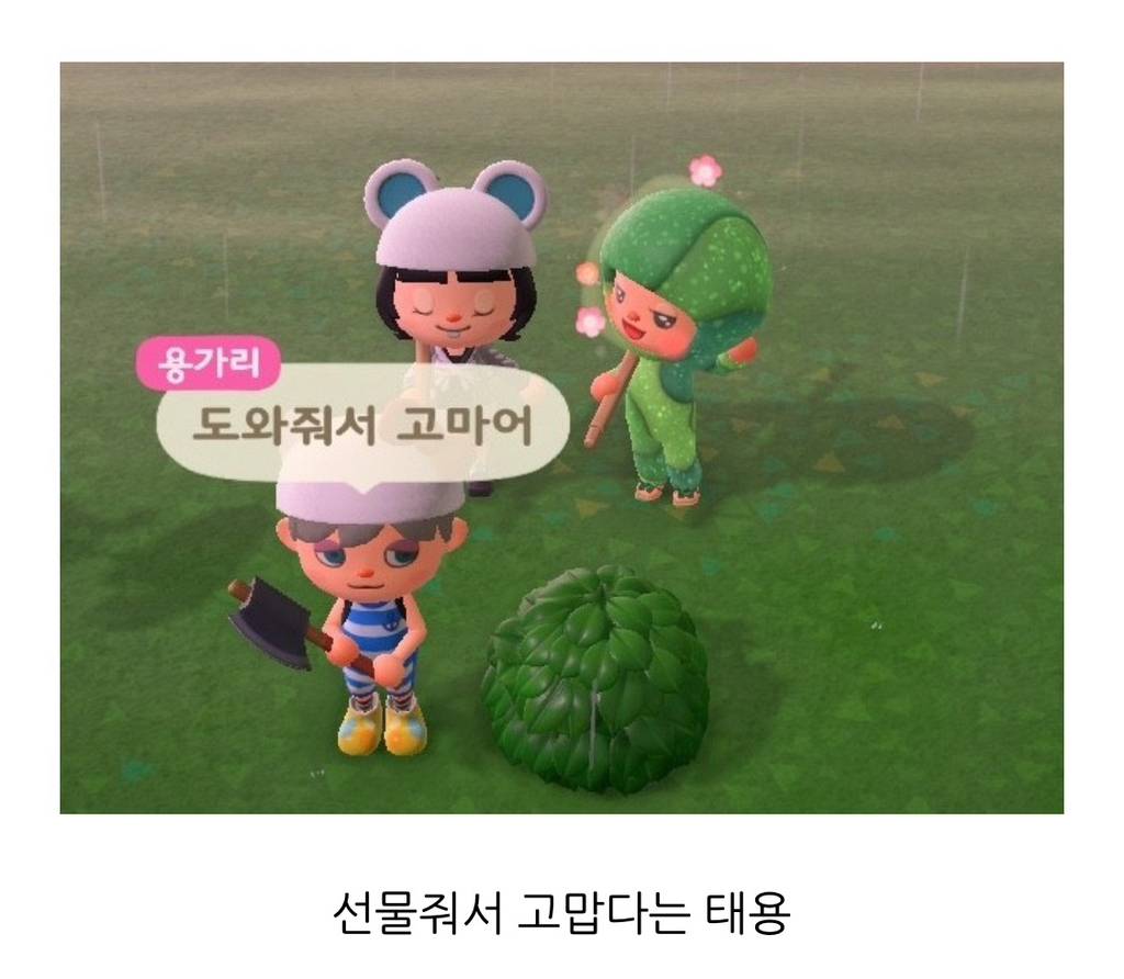 NCT 태용의 동물의 숲 섬 다녀온 블로거의 후기 | 인스티즈