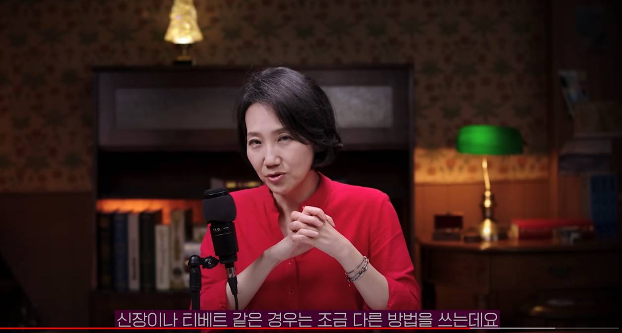 인터넷에 많이 활동하는듯한 중국에 우호적인 글 퍼트리는 중국댓글부대 | 인스티즈