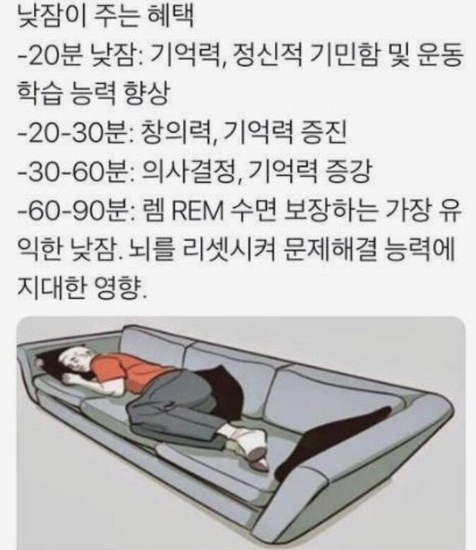 낮잠을 자야하는 이유 | 인스티즈