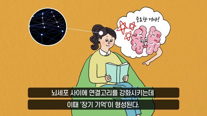 일어나면 폰부터 보는 사람들의 몸에서 생기는 일 | 인스티즈