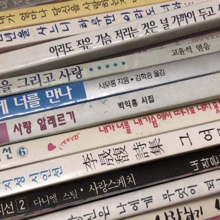 낭만을 뿌렸어요 | 인스티즈