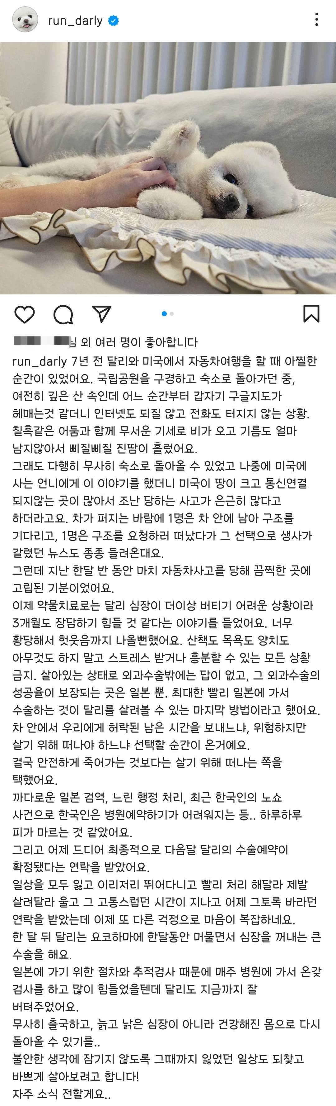 곧 수술한다는 달리 인스타.jpg | 인스티즈