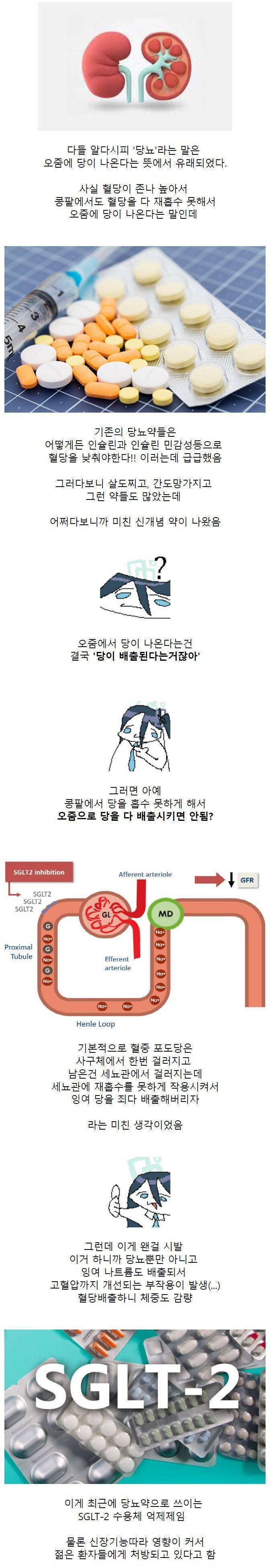 발상을 뒤집은 당뇨병 치료약 | 인스티즈