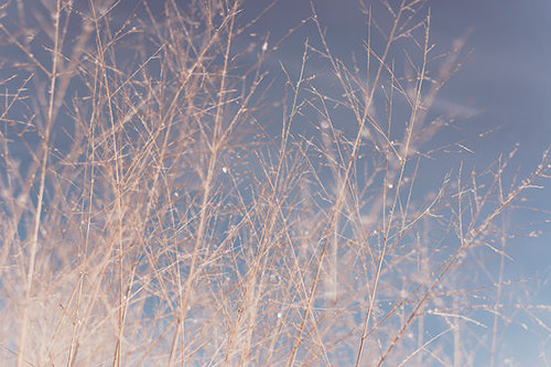  잊히지 않는 생각보다 잊고자 하는 생각이 더욱 괴롭습니다 | 인스티즈