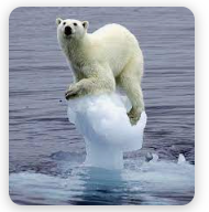 남극에 내리는 비…지구가 위험하다. jpg | 인스티즈