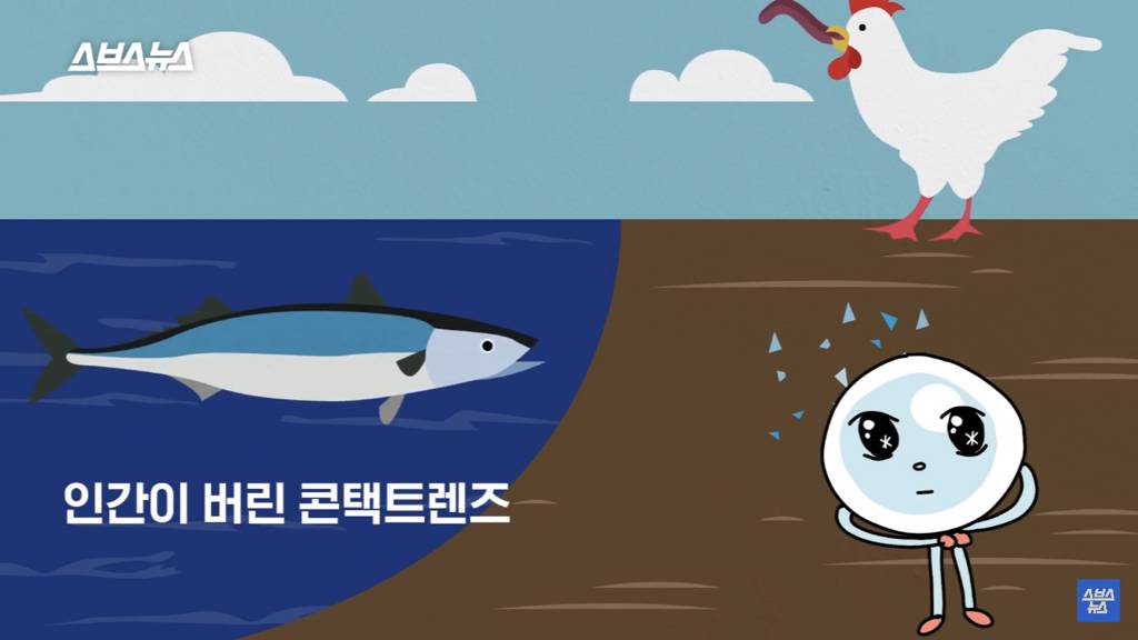 다 쓴 렌즈 세면대나 변기에 버리는 사람 필독 | 인스티즈