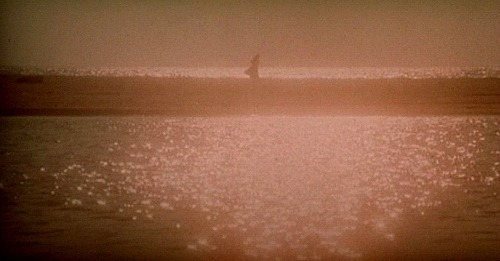  잊히지 않는 생각보다 잊고자 하는 생각이 더욱 괴롭습니다 | 인스티즈