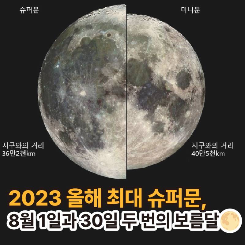 8월 1일 슈퍼문 "철갑상어 달” 보고 소원 빌자! | 인스티즈