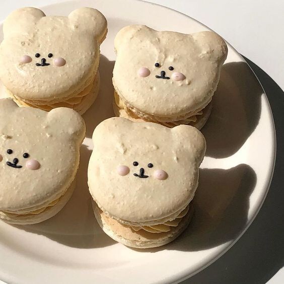 cookie cake bear 🐻 | 인스티즈
