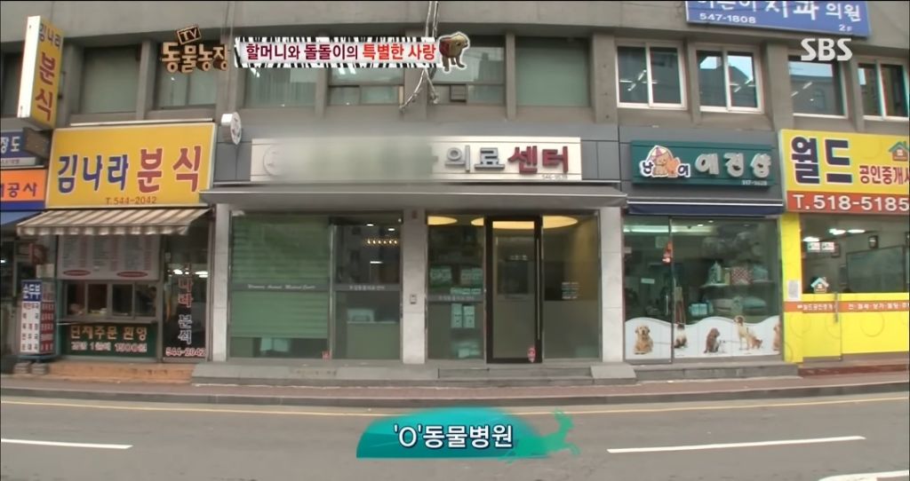 강아지가 안좋은말 들을까봐 귀 막아주는 할머니 | 인스티즈