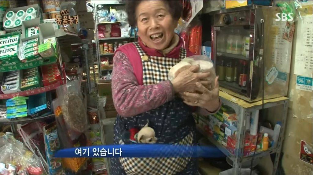 강아지가 안좋은말 들을까봐 귀 막아주는 할머니 | 인스티즈