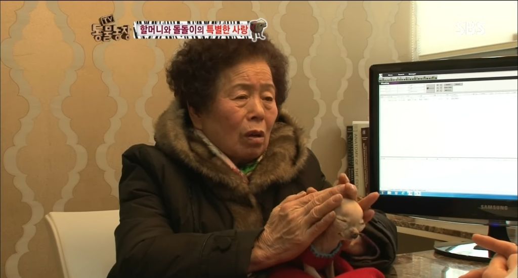강아지가 안좋은말 들을까봐 귀 막아주는 할머니 | 인스티즈