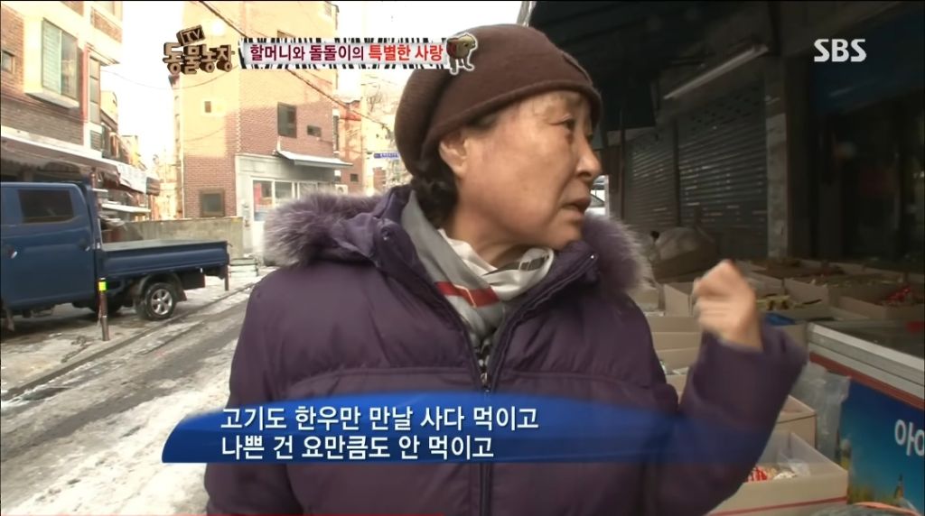 강아지가 안좋은말 들을까봐 귀 막아주는 할머니 | 인스티즈