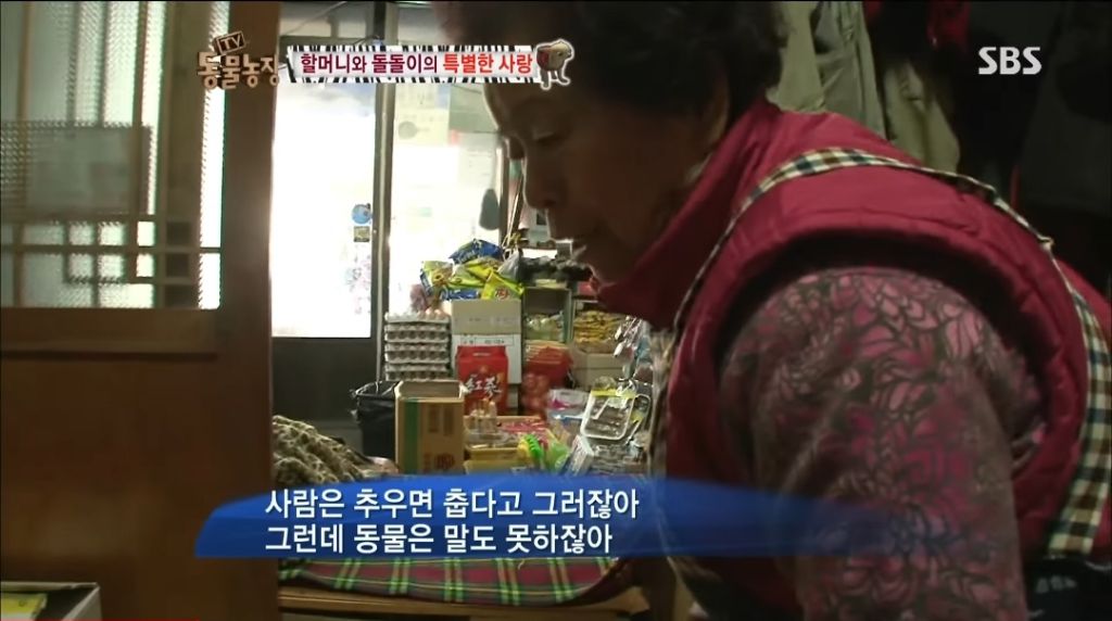 강아지가 안좋은말 들을까봐 귀 막아주는 할머니 | 인스티즈