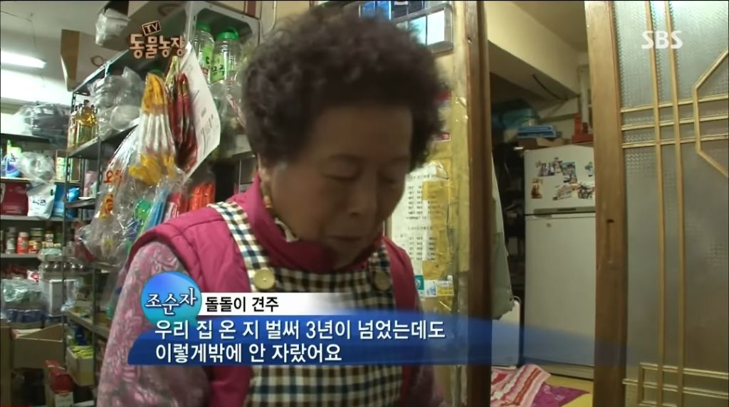 강아지가 안좋은말 들을까봐 귀 막아주는 할머니 | 인스티즈