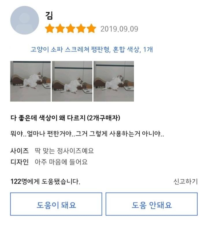 매우 신뢰가 가는 고양이 스크래쳐 리뷰 | 인스티즈