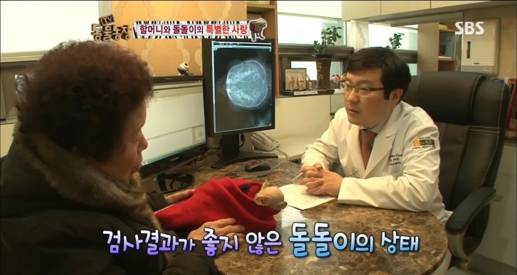강아지가 안좋은말 들을까봐 귀 막아주는 할머니 | 인스티즈
