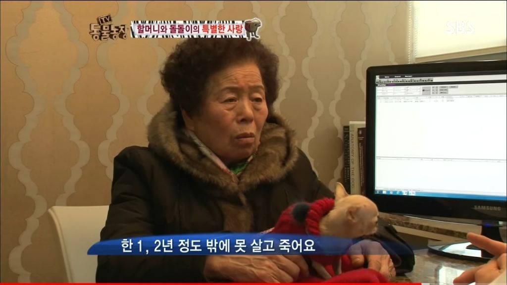 강아지가 안좋은말 들을까봐 귀 막아주는 할머니 | 인스티즈