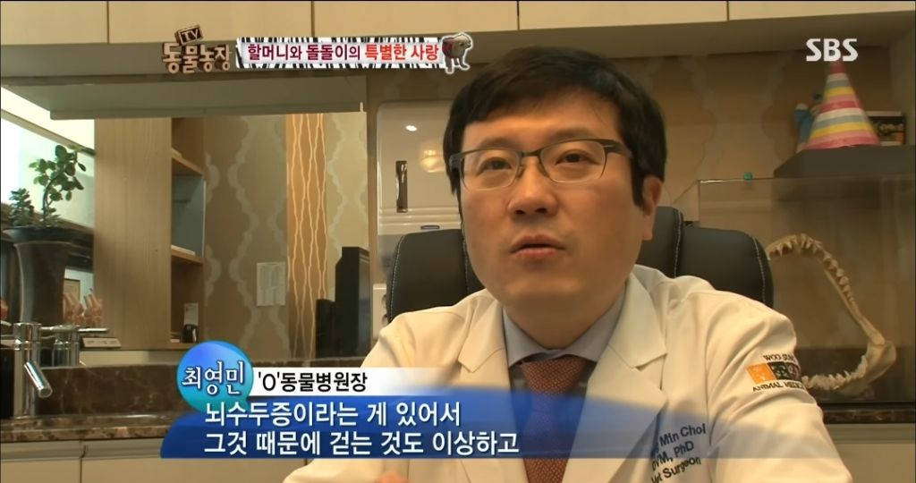 강아지가 안좋은말 들을까봐 귀 막아주는 할머니 | 인스티즈