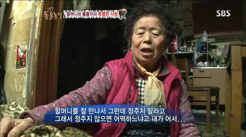 강아지가 안좋은말 들을까봐 귀 막아주는 할머니 | 인스티즈