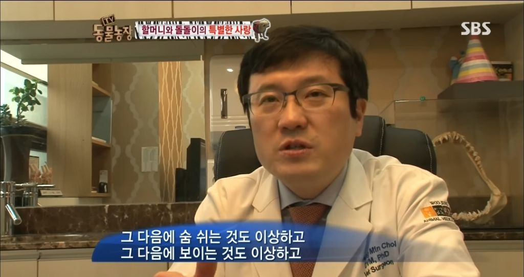 강아지가 안좋은말 들을까봐 귀 막아주는 할머니 | 인스티즈