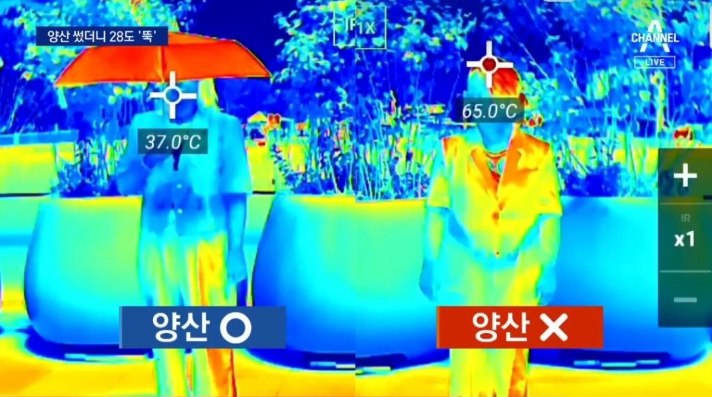 우산도 양산만큼 자외선을 차단할까? | 인스티즈