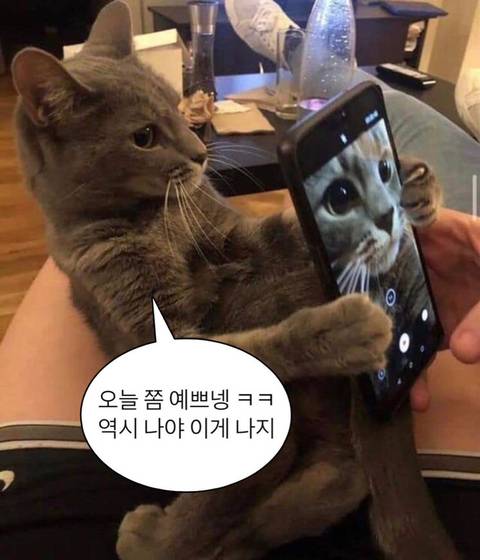 ??? : 이ㅣ시벌!!! 문열어!!! 어던기가날가둬놧어!! ㅣ나가면손모가지를분질러버리겟 압빠♡