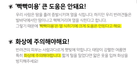 여름철 강아지한테 흔히들 시키는데 사실 시키면 안되는 것.. | 인스티즈