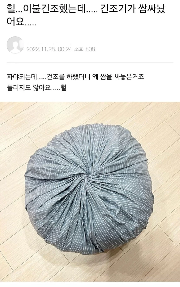 건조기 만두 | 인스티즈