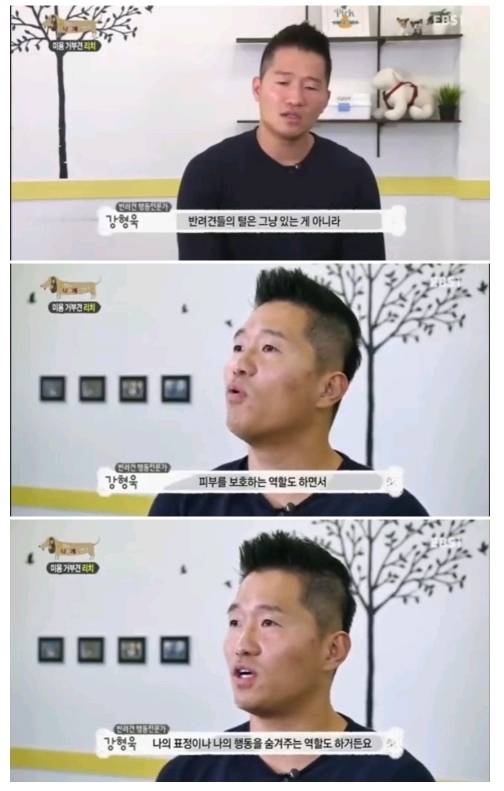 여름철 강아지한테 흔히들 시키는데 사실 시키면 안되는 것.. | 인스티즈