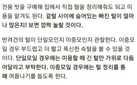 여름철 강아지한테 흔히들 시키는데 사실 시키면 안되는 것.. | 인스티즈