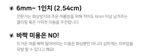 여름철 강아지한테 흔히들 시키는데 사실 시키면 안되는 것.. | 인스티즈