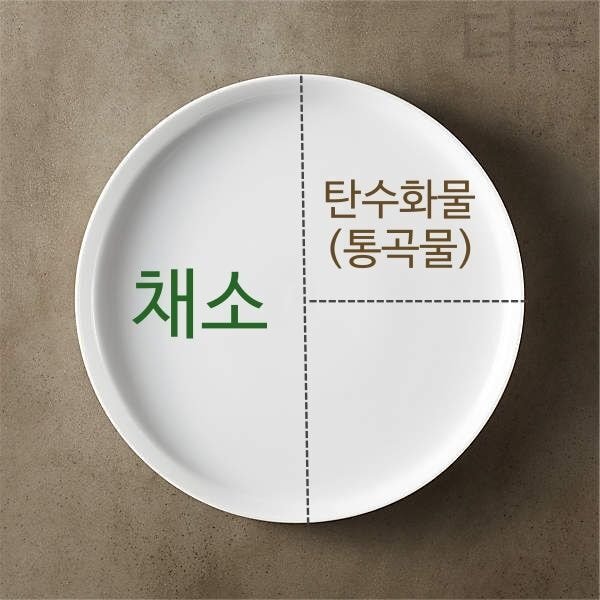 외국에서 당뇨예방+당뇨환자들에게 권장하는 원 플레이트(One-plates, 한접시) 식사 | 인스티즈