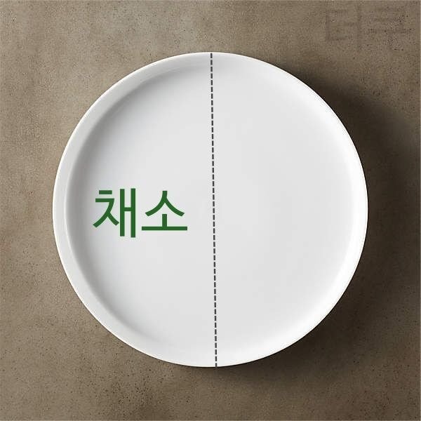 외국에서 당뇨예방+당뇨환자들에게 권장하는 원 플레이트(One-plates, 한접시) 식사 | 인스티즈