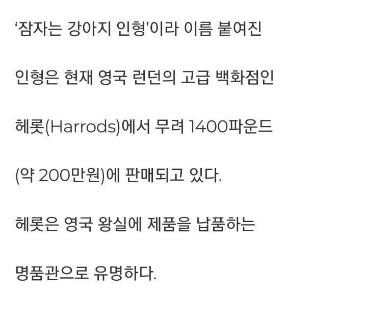 토끼로 만든 200만원짜리 명품 갱얼지 | 인스티즈