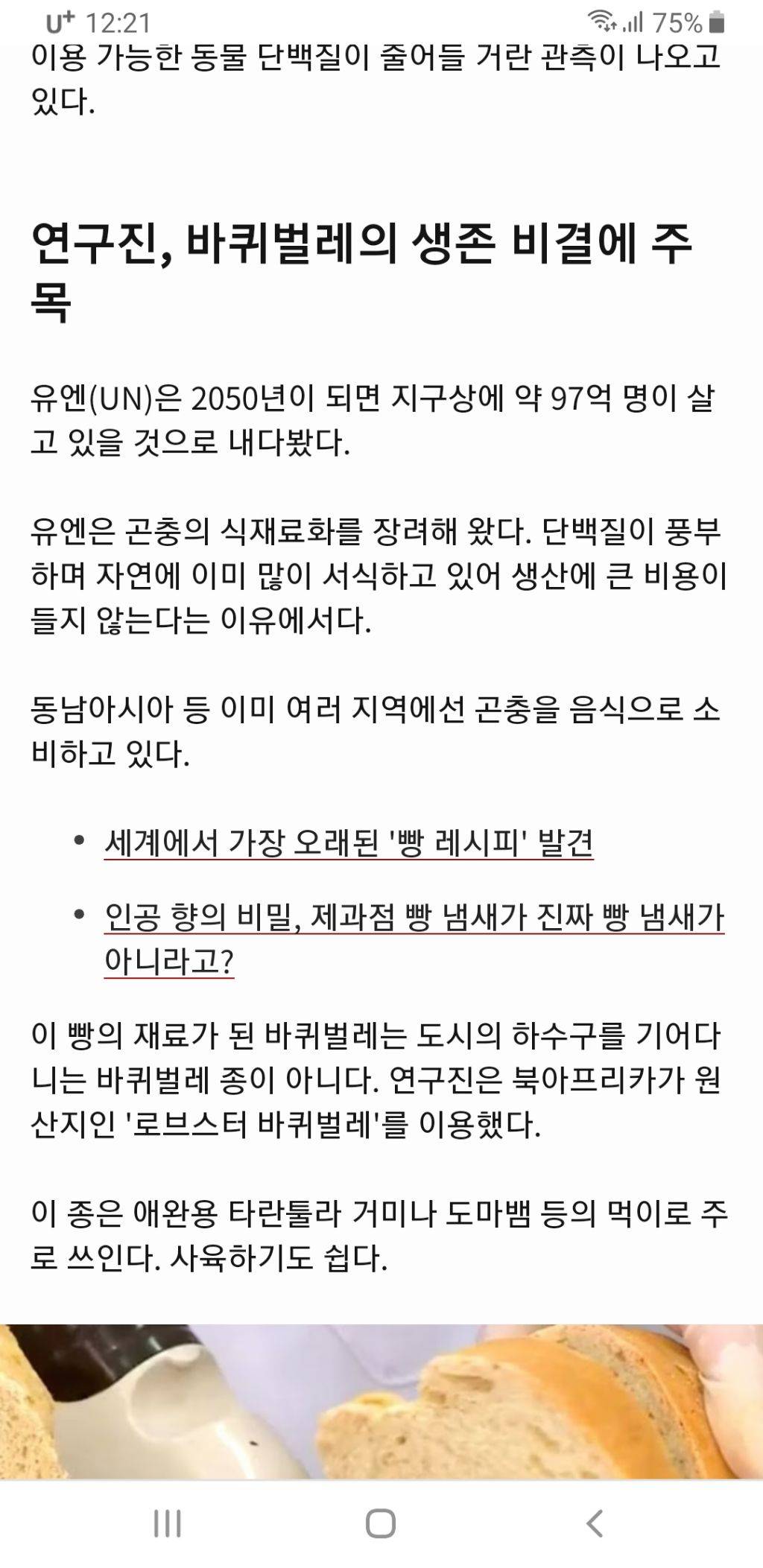 음식: 바퀴벌레가 들어있지만 고기보다 단백질이 풍부한 빵? | 인스티즈