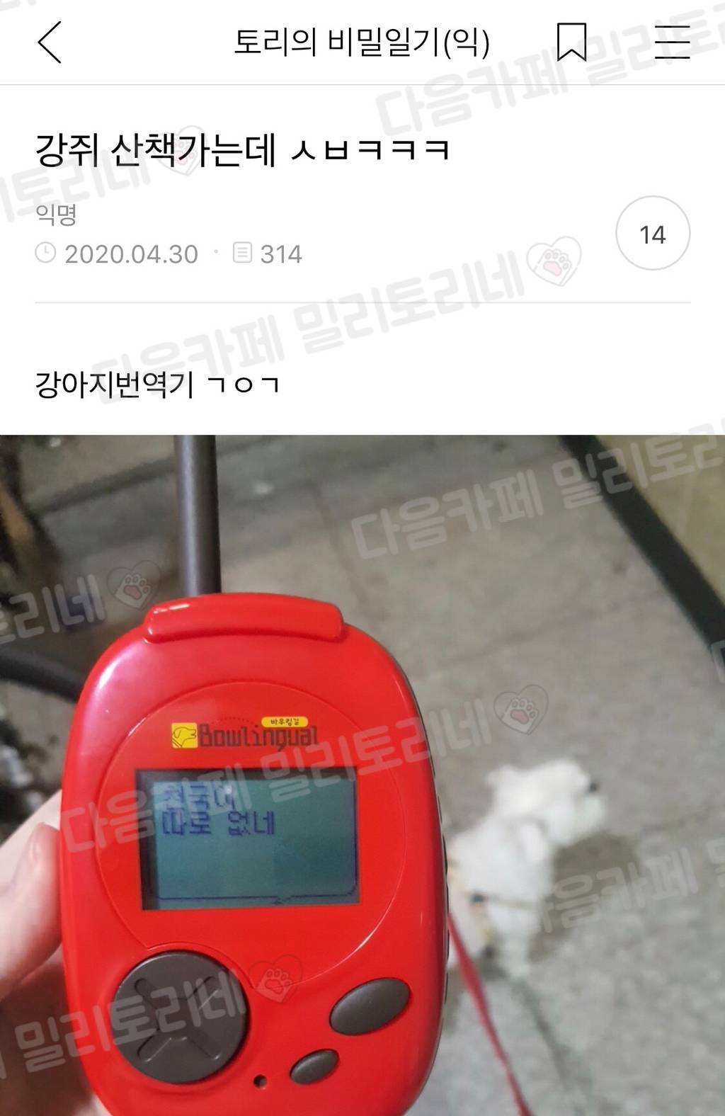 nokbeon.net-강쥐 산책가는데 ㅋㅋㅋ-2번 이미지