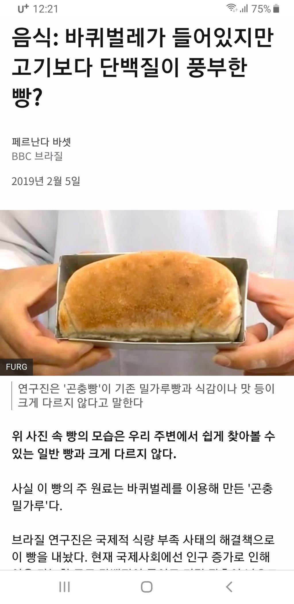 음식: 바퀴벌레가 들어있지만 고기보다 단백질이 풍부한 빵? | 인스티즈